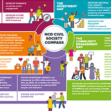 Bridging the Gap - NCD Civil Society Compass - square