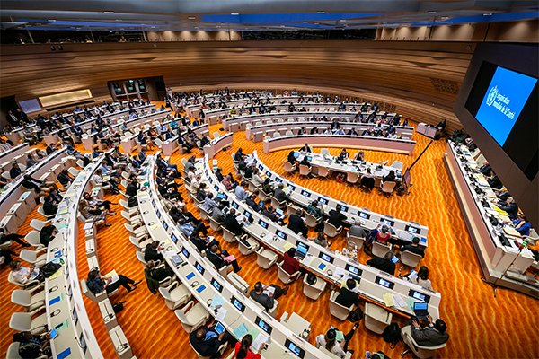WHA77_Constituency_Statement_NCDs