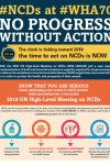 WHA70: NCDs - No Progress Without Action