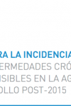 Guía para la incidencia política: Las enfermedades crónicas no transmisibles en la agenda de desarrollo post-2015