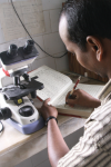 The Looming Co-epidemic of TB-Diabetes: A Call to Action 