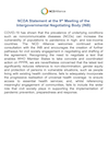 NCDA Statement at the 9th Meeting of the Intergovernmental Negotiating Body (INB)