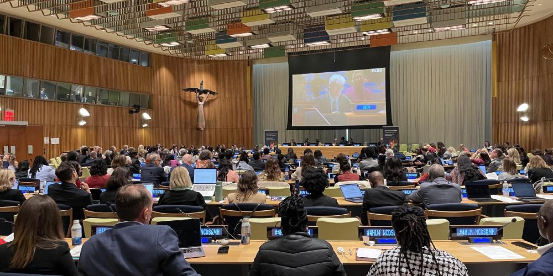 UN Headquarters during the Multi-stakeholder hearing on NCDs and mental health, May 2025