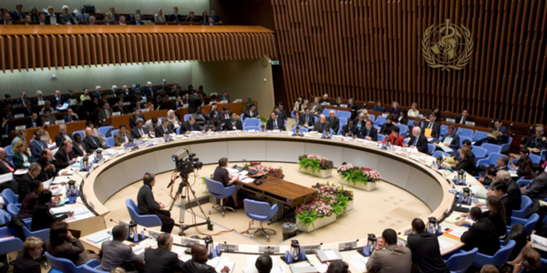 Image of the World Health Organization