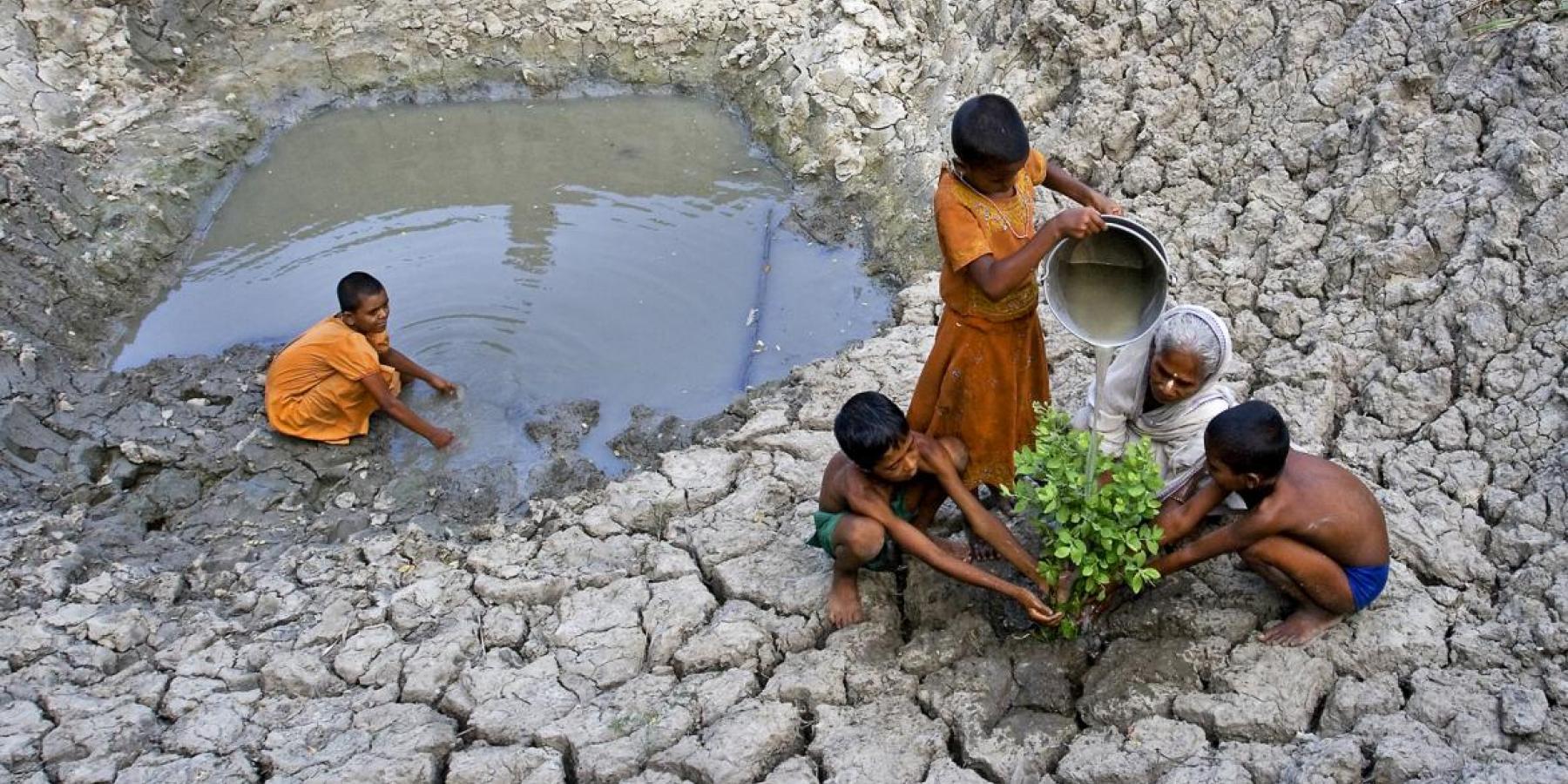 A grandmother and her grandchildren plant a tree in a drought-stricken rural area of West Bengal, India.