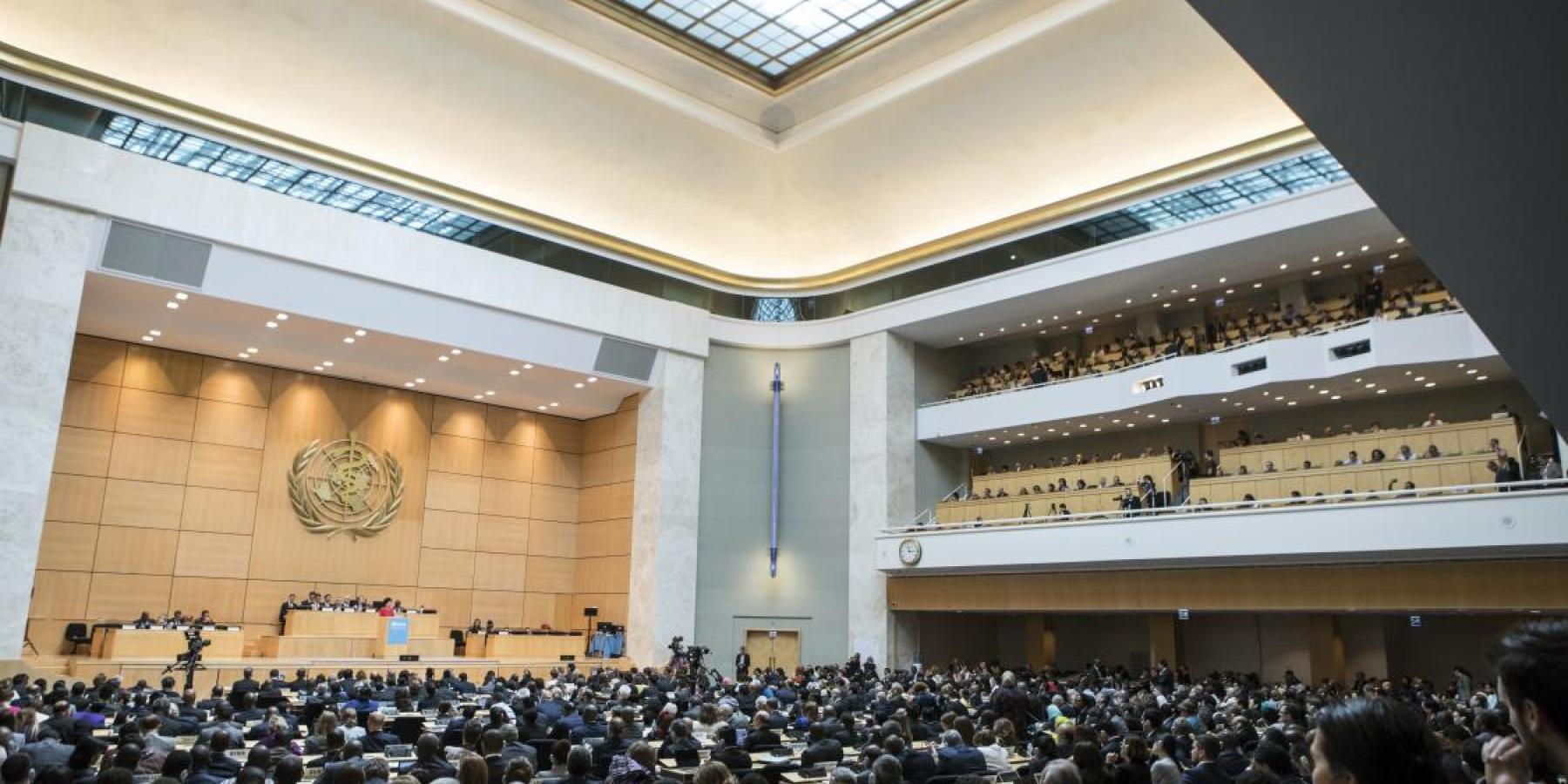 Assemblée mondiale de la Santé 70 ©️ NCD Alliance