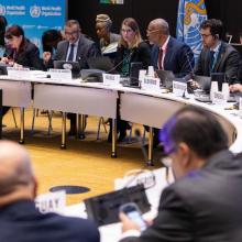Conseil exécutif de l’OMS : la décision actuelle sur la CSU ne reflète pas le soutien des États membres à la lutte contre les MNT 