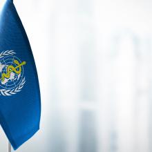 75th World Health Assembly (WHA75)