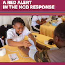 2025 UNSG report on NCDs - A red alert in the NCD response