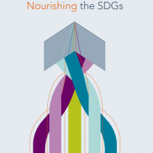 Nourishing the SDGs