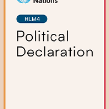 Template letter - 25 July 2025 - Act Now: Political Declaration at risk