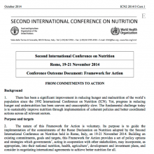 ICN2: Framework for Action