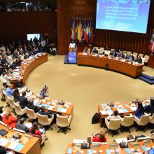 Summary of WHO Regional Committees 2014