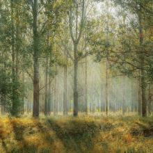 New Manifesto calling for emergency action to secure a healthy planet for all