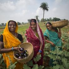 Les MNT dans le programme à l’horizon 2030