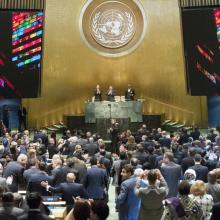 Adoption of Agenda 2030: A Major Victory for NCDs