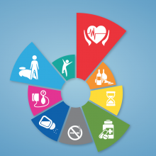 Launch of the second WHO Global Status Report 2014 on NCDs