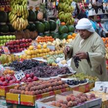 Alianza Miembro de la Alianza de ENT crea conciencia en Egipto