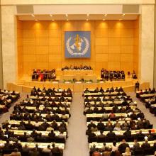 71st World Health Assembly (WHA71)