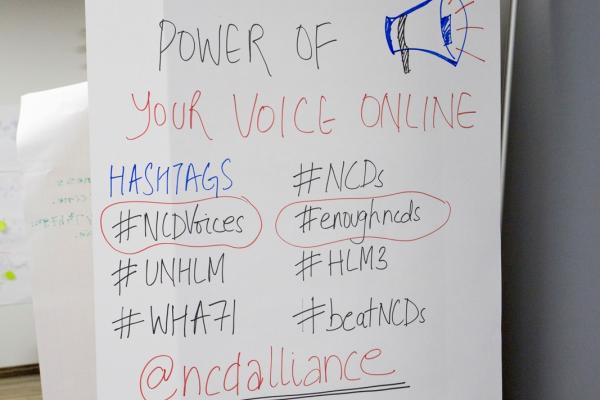 NCD Alliance Our Views Our Voice Advocacy Training, 2018, Geneva, WHA71