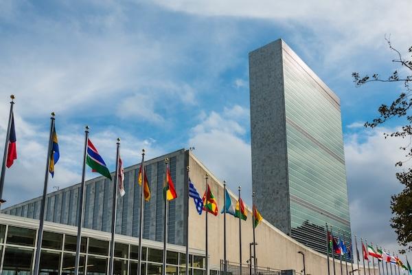 Too tentative: The Political Declaration of HLM4 must go further, says WHO Civil Society Working Group