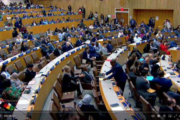 The HLM4 Political Declaration on NCDs and Mental Health is under serious threat